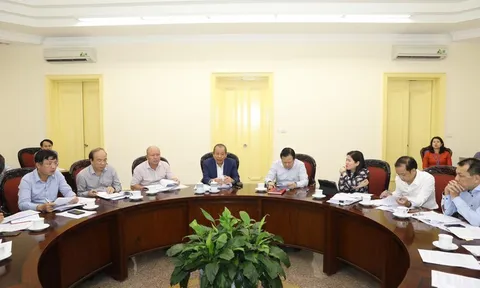 Phó Thủ tướng Thường trực chỉ đạo xử lý một số dự án kém hiệu quả ngành công thương